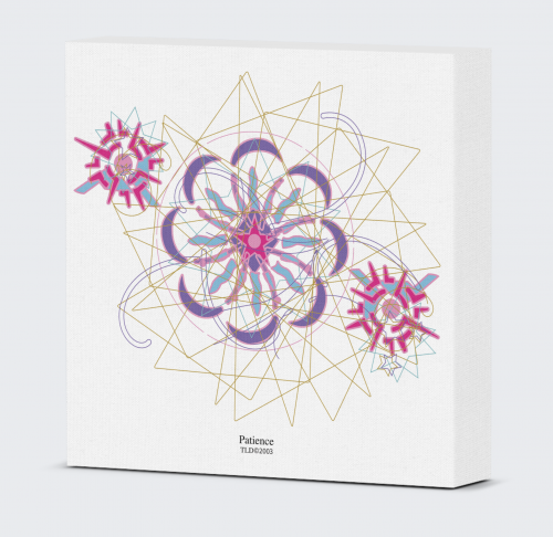 Patience art by Transformational Light Designs 6 x 6 Inch Canvas